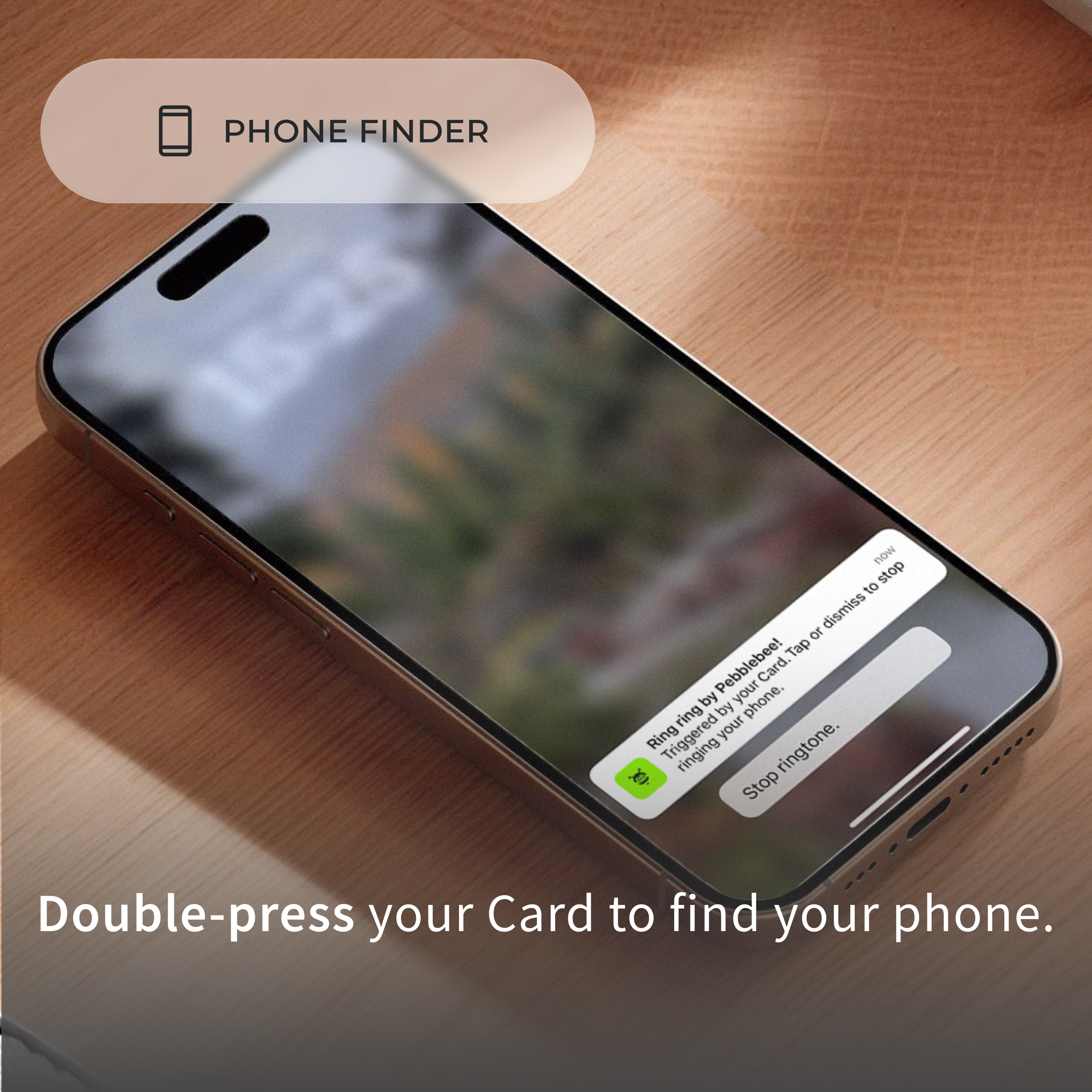 Card Universal - Pebblebee