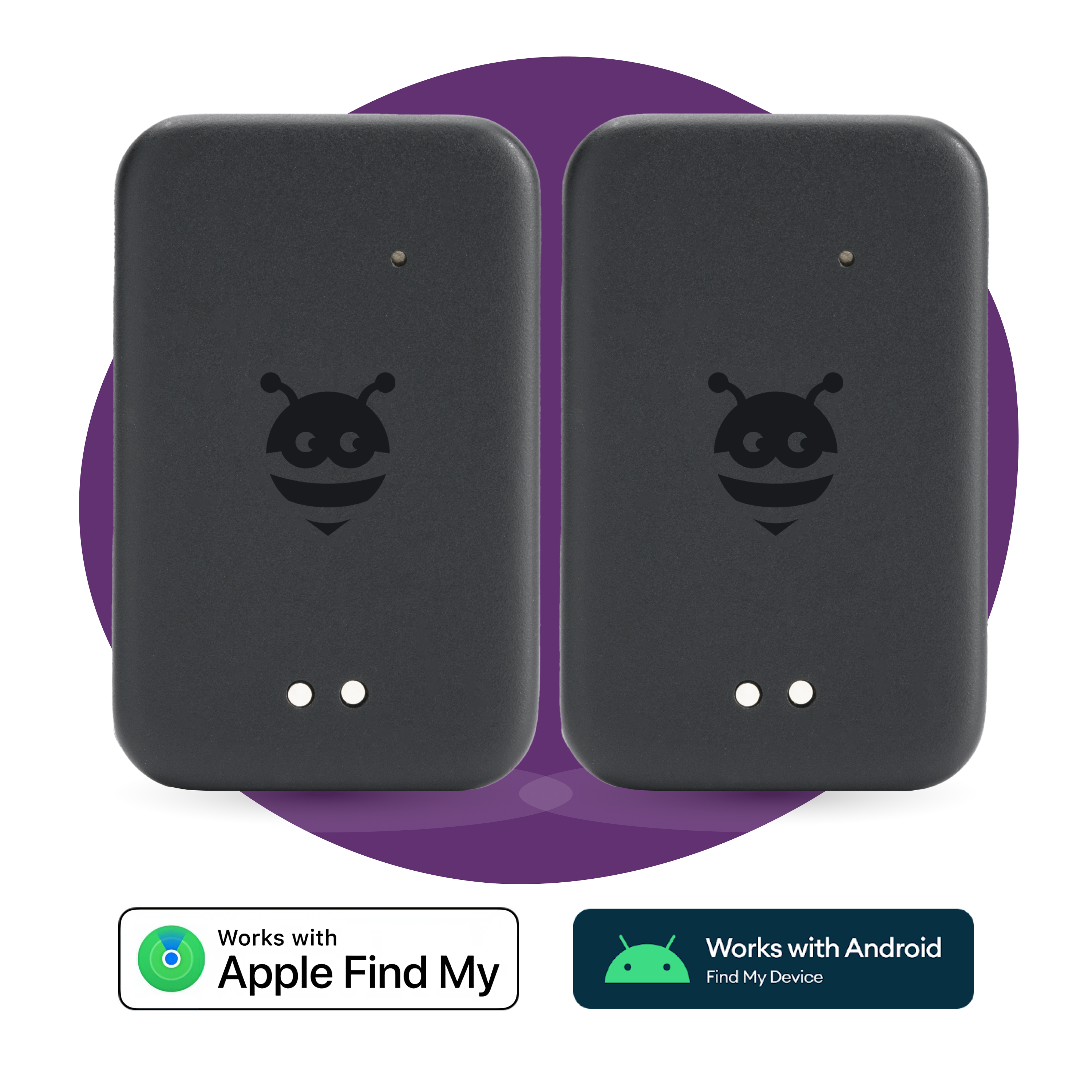 Daily Duo - Pebblebee