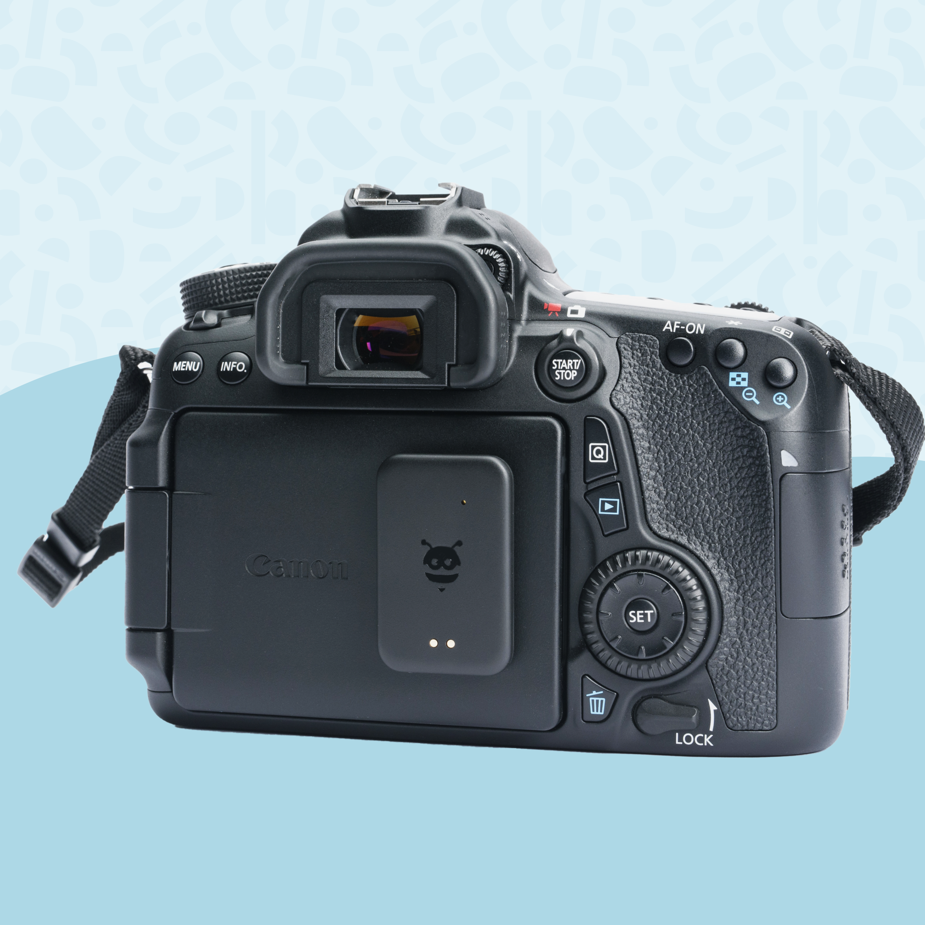 Daily Duo - Pebblebee