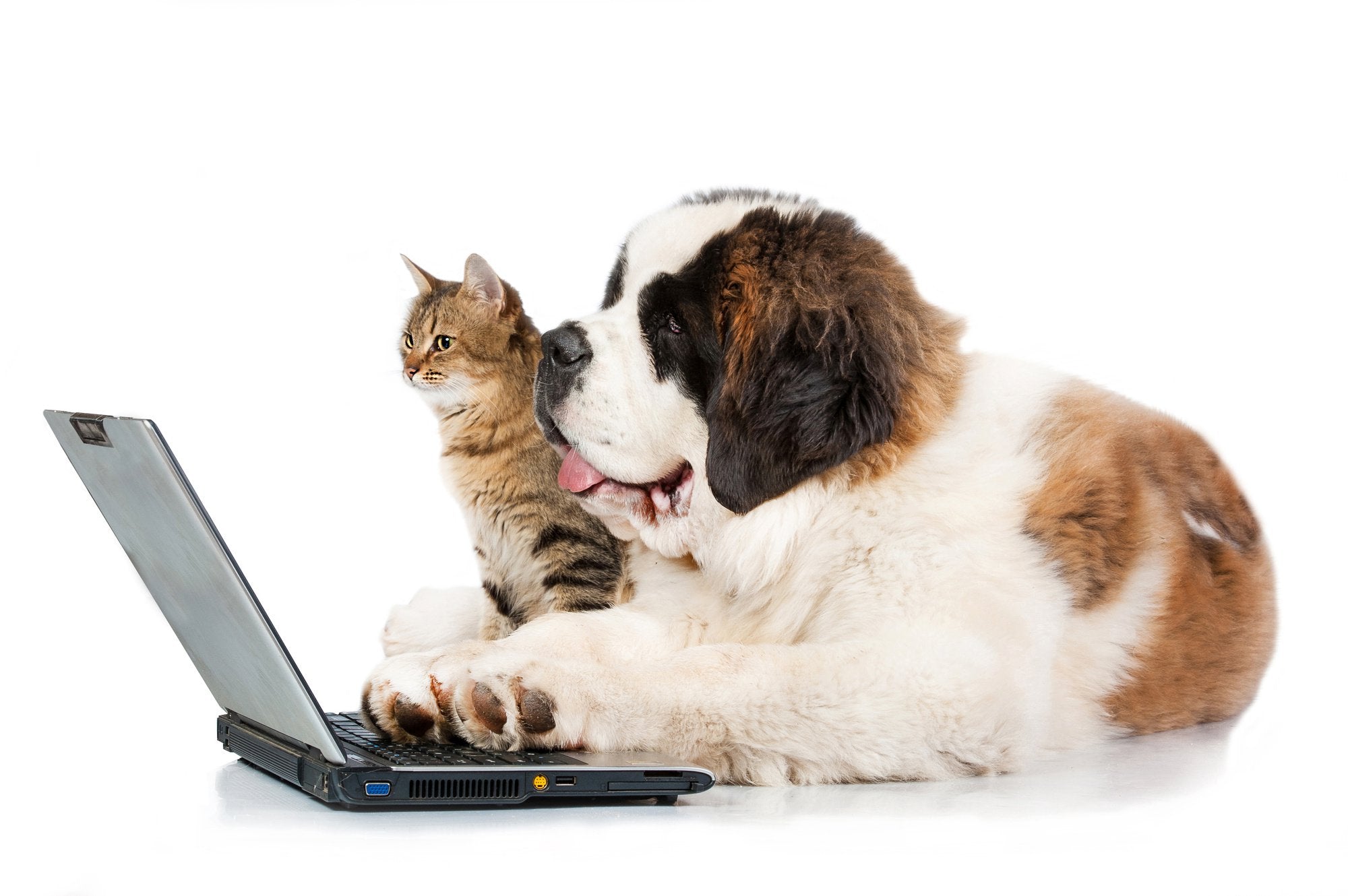 10 Smart Tech Devices For Your Pet