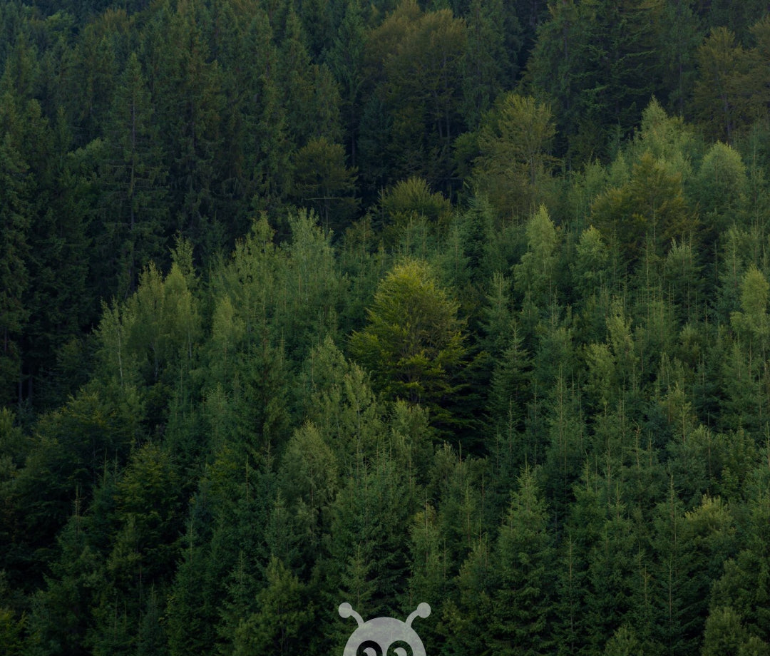 🌱 Earth Week Special: We're Planting 5 Trees for Every Order