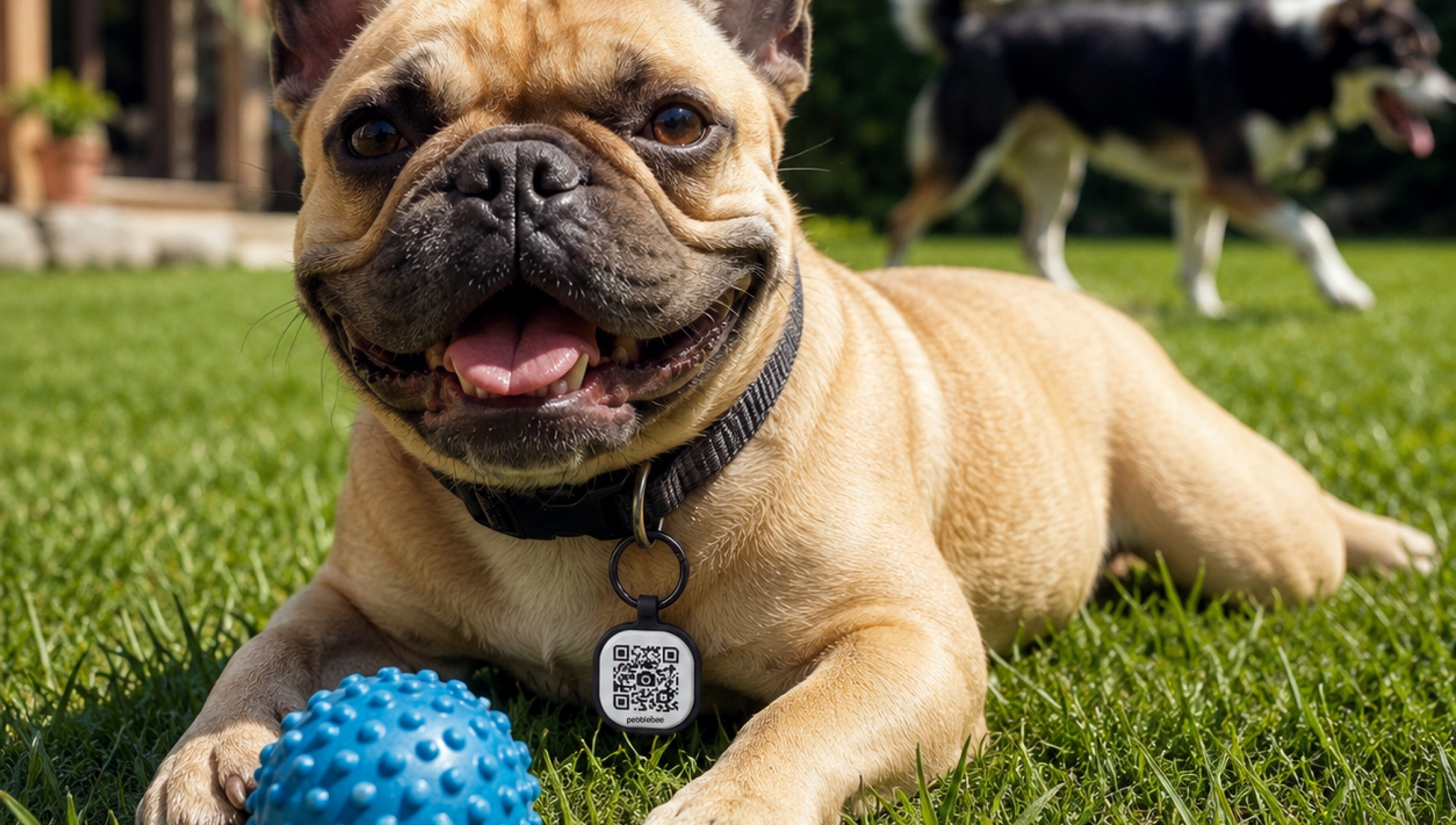 Meet Bag Tag: Smarter Travel Starts Here