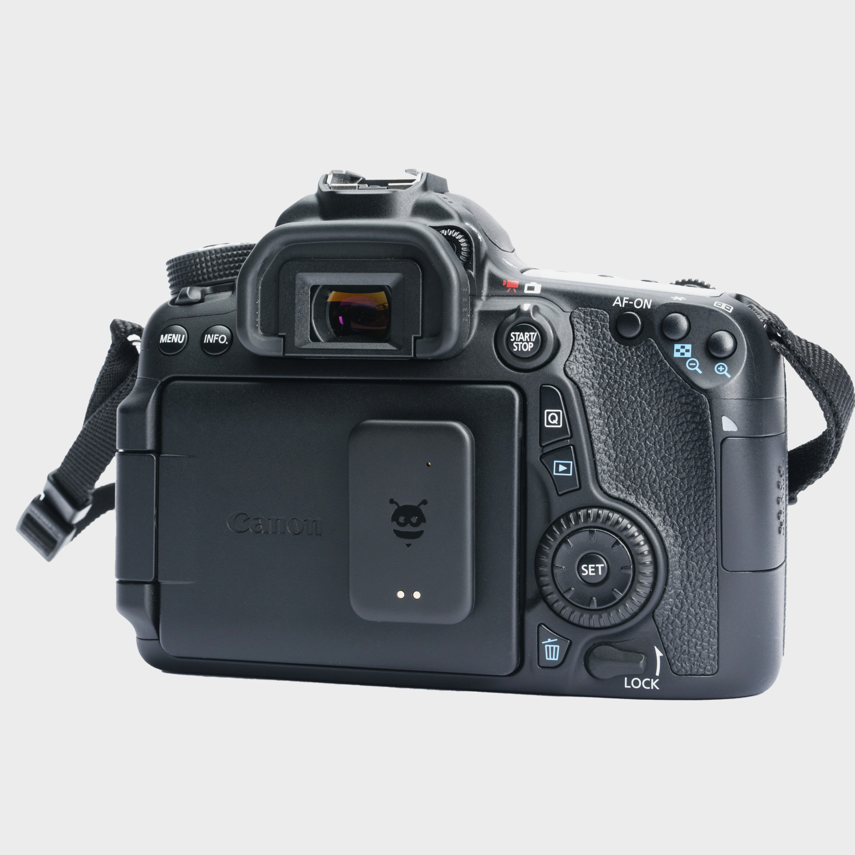 Daily Duo - Pebblebee