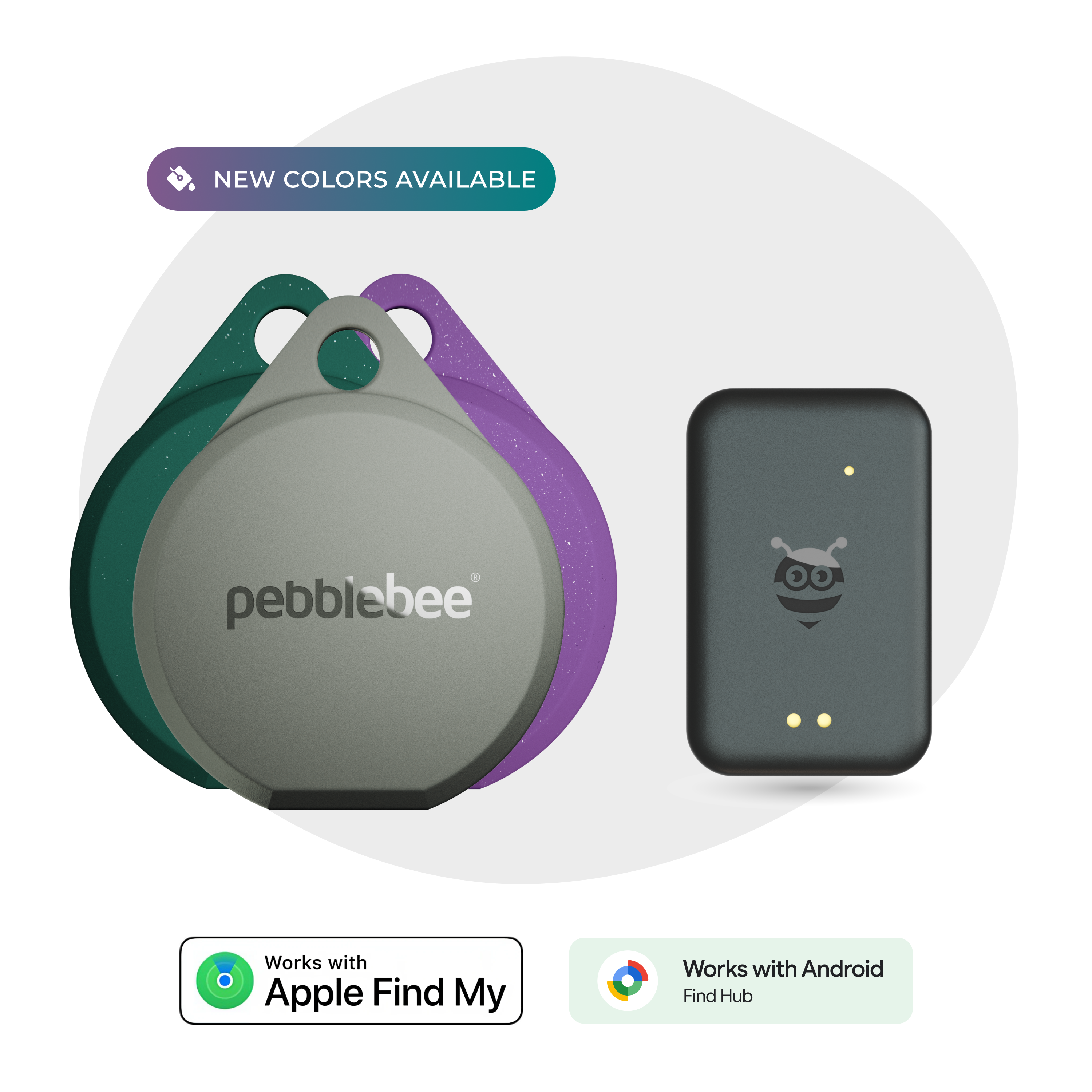 Student Essentials Pack