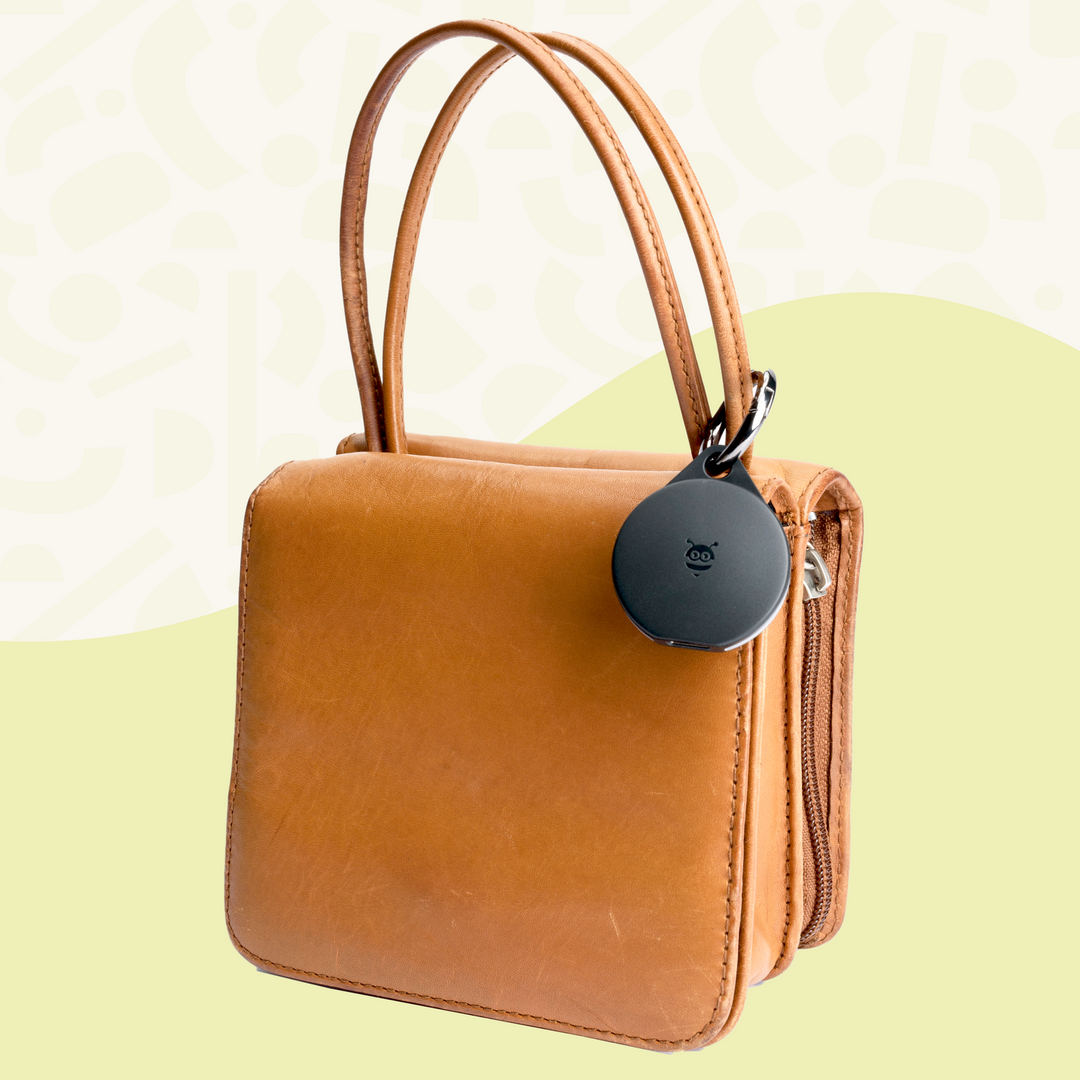 Student Essentials Pack - Pebblebee